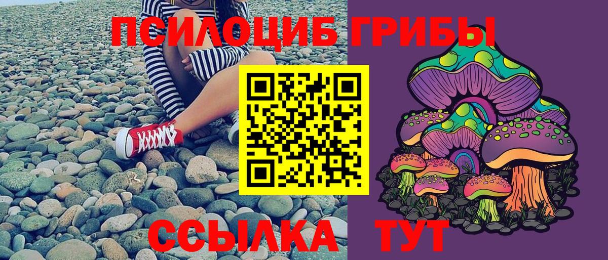 Псилоцибиновые грибы Magic Shrooms Ливны